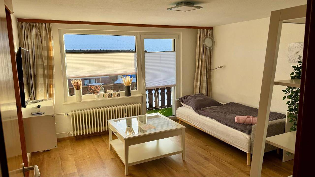 Ganze Wohnung, Pension Schmidt - Schwarzwaldnest - voll ausgestattetes Apartment in Häusern, Südschwarzwald