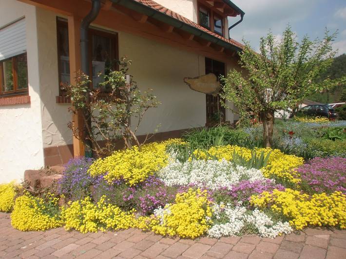 Ferienwohnung für 2 Personen, mit Sauna und Terrasse sowie Garten, kinderfreundlich in Bruchweiler-Bärenbach - 3