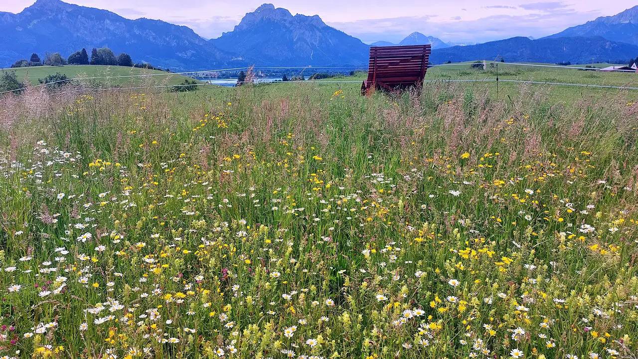 Ferienwohnung für 2 Personen (35 m²) in Rieden am Forggensee, foto 6