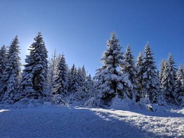 Ferienwohnung für 2 Personen in Braunlage, Westharz, Bild 3