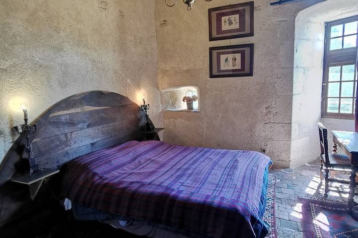 Château pour 19 personnes, avec jardin dans le Loir-et-Cher - 3