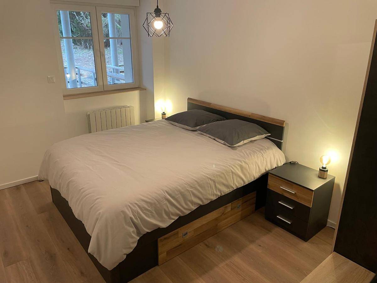 Cały apartament, One-Bedroom Apartment in Orbey, Parc naturel régional des Ballons des Vosges