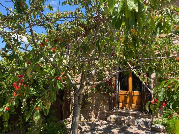 Casa rural para 8 personas, con vistas y jardín en Pallars Sobirà - 4