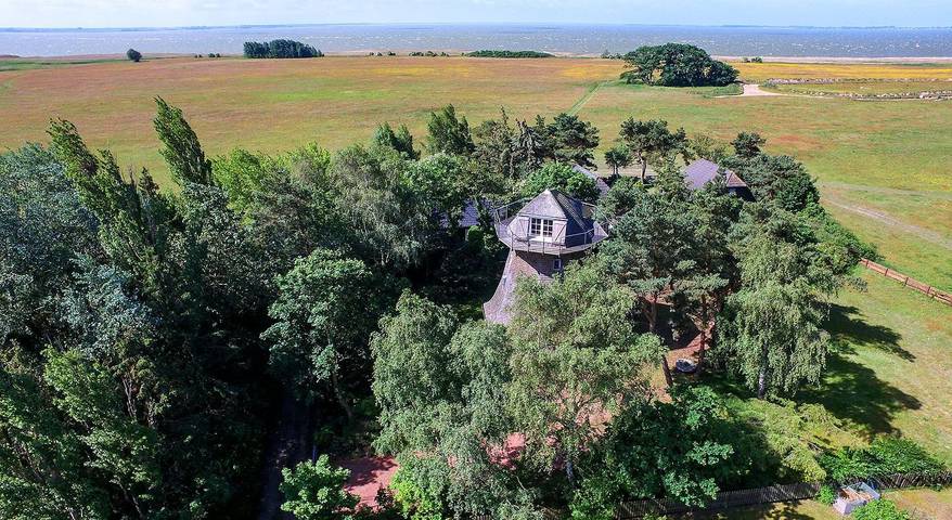 Ferienhaus für 4 Personen, mit Terrasse und Ausblick sowie Garten und Seeblick, mit Haustier auf Fischland - Darß - Zingst - 3