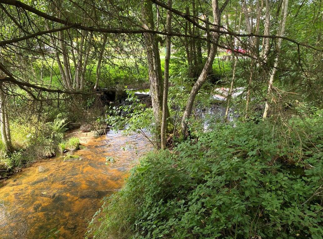 Chambres d'hôtes La Forge d’Allègre - Chambre Mélèze in Allègre, Parc Naturel Régional Livradois-Forez