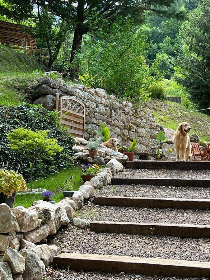 Single Room with Garden View in Parrocchia, Vallarsa