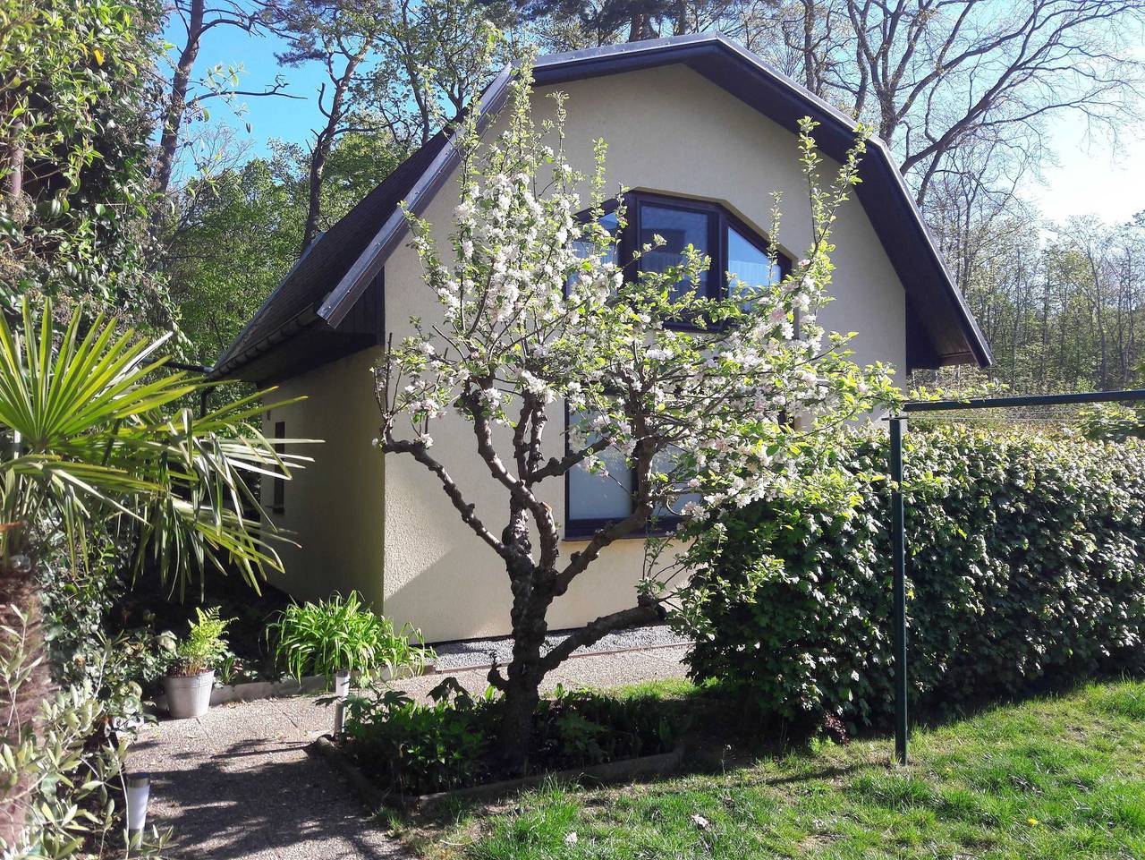 Ferienhaus Gartenblick in Kühlungsborn, Mecklenburgische Ostseeküste