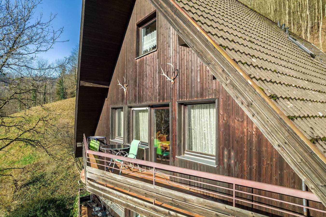 Ganze Wohnung, Ferienwohnung Frechehof 136 qm mit Bergblick, Gemeinschaftsgarten und Wlan in Bad Peterstal-Griesbach, Mittlerer Schwarzwald