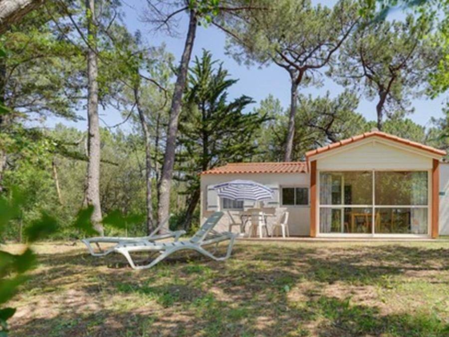 Domaine de la Presqu'île - Landhaus 4 personen - 2 Zimmer in Erdre-en-Anjou, Segré und Umgebung