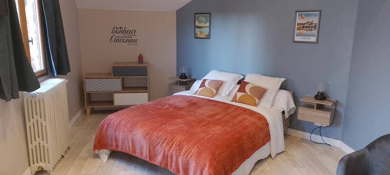 Double Room with Private Bathroom in Amboise, Région de Tours