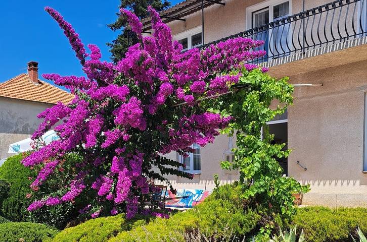 Ferienwohnung für 5 Personen, mit Balkon/Terrasse in Biograd na Moru - 3