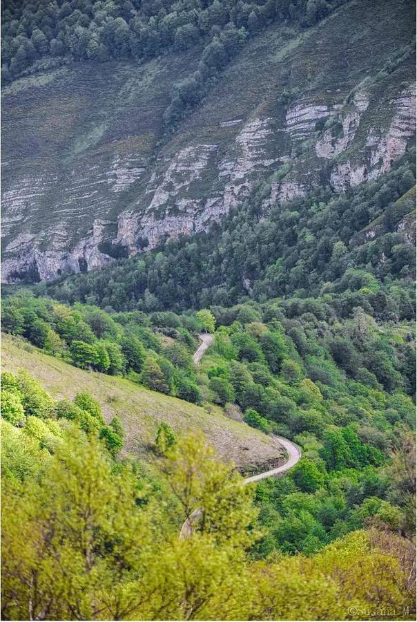 Casa rural para 6 personas, con terraza y vistas, Se admiten mascotas en Valle de Cabuérniga - 2