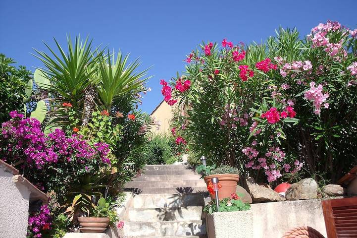 Superbe Appartement Traversant de Type F3 Avec Jardin Fleuri à 5 min de la Plage in Cargèse, Parc naturel régional de Corse