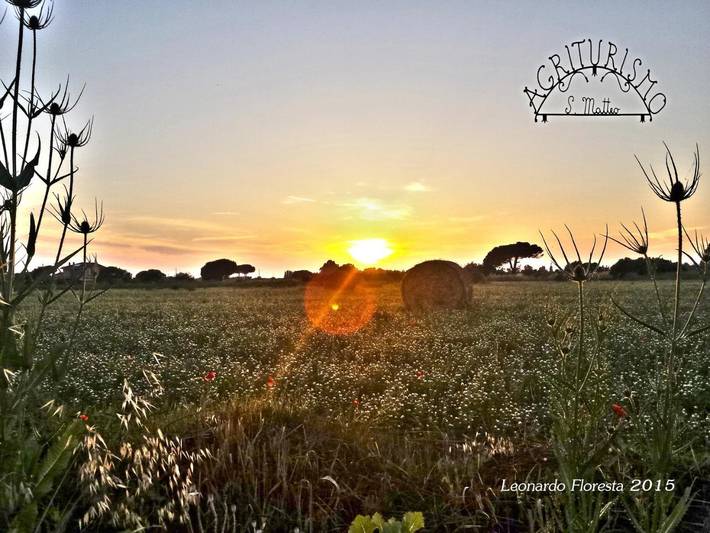 Agriturismo per 3 persone, con giardino e panorama in Provincia di Viterbo