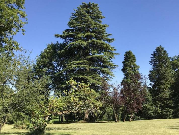 Location de vacances pour 8 personnes, avec jardin et terrasse à Savignac-les-Églises - 3