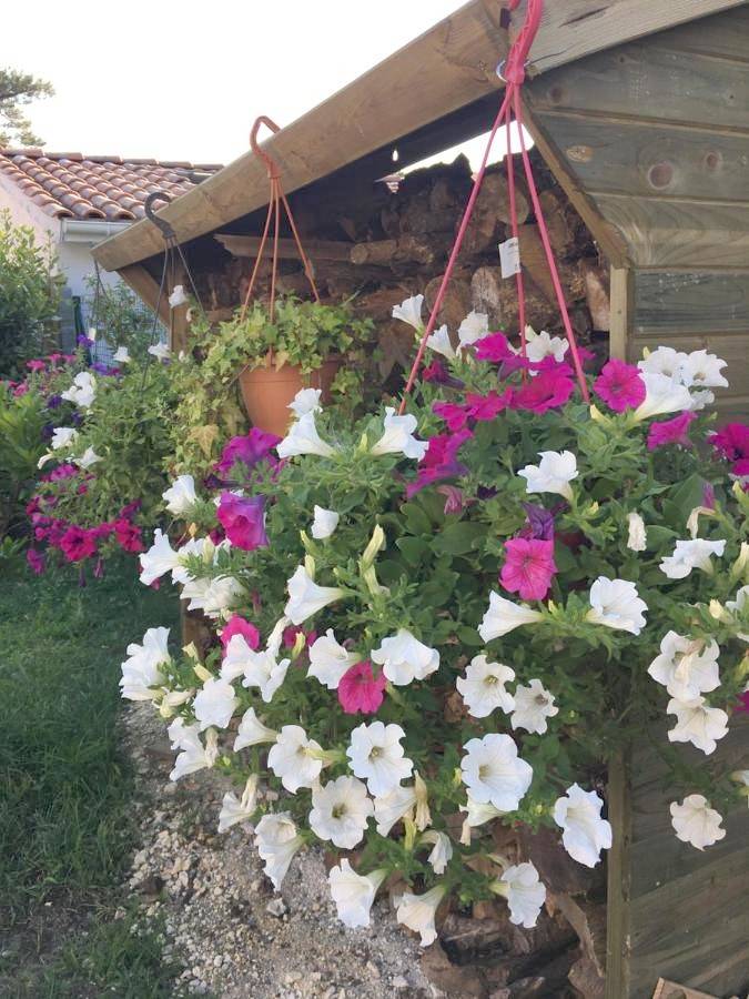 Triple Room in Soulac-sur-Mer, Région de Lesparre-Médoc