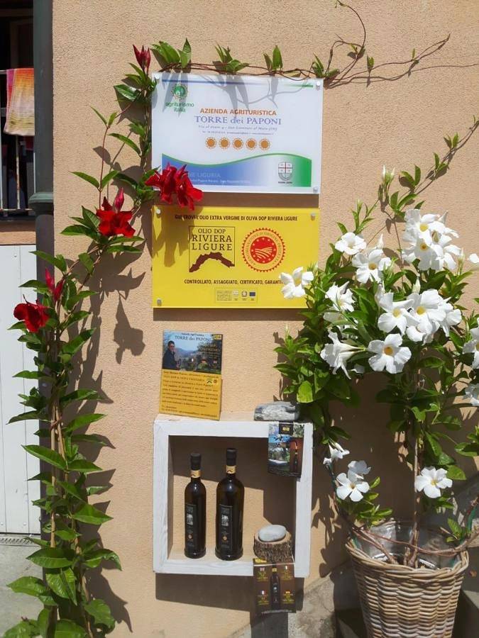 Location de vacances pour 2 personnes, avec vue à San Lorenzo al Mare - 3