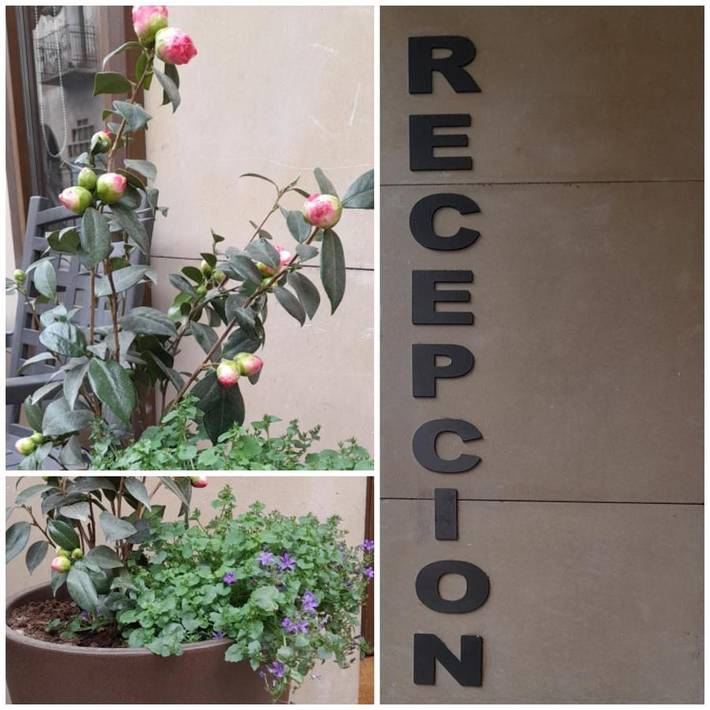 Gîte pour 4 personnes, animaux acceptés à Nájera - 3