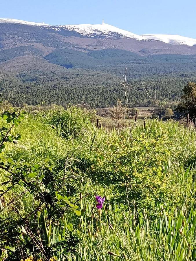 Chambre d’hôte pour 2 personnes, avec jardin ainsi que vue et terrasse à Bédoin - 2