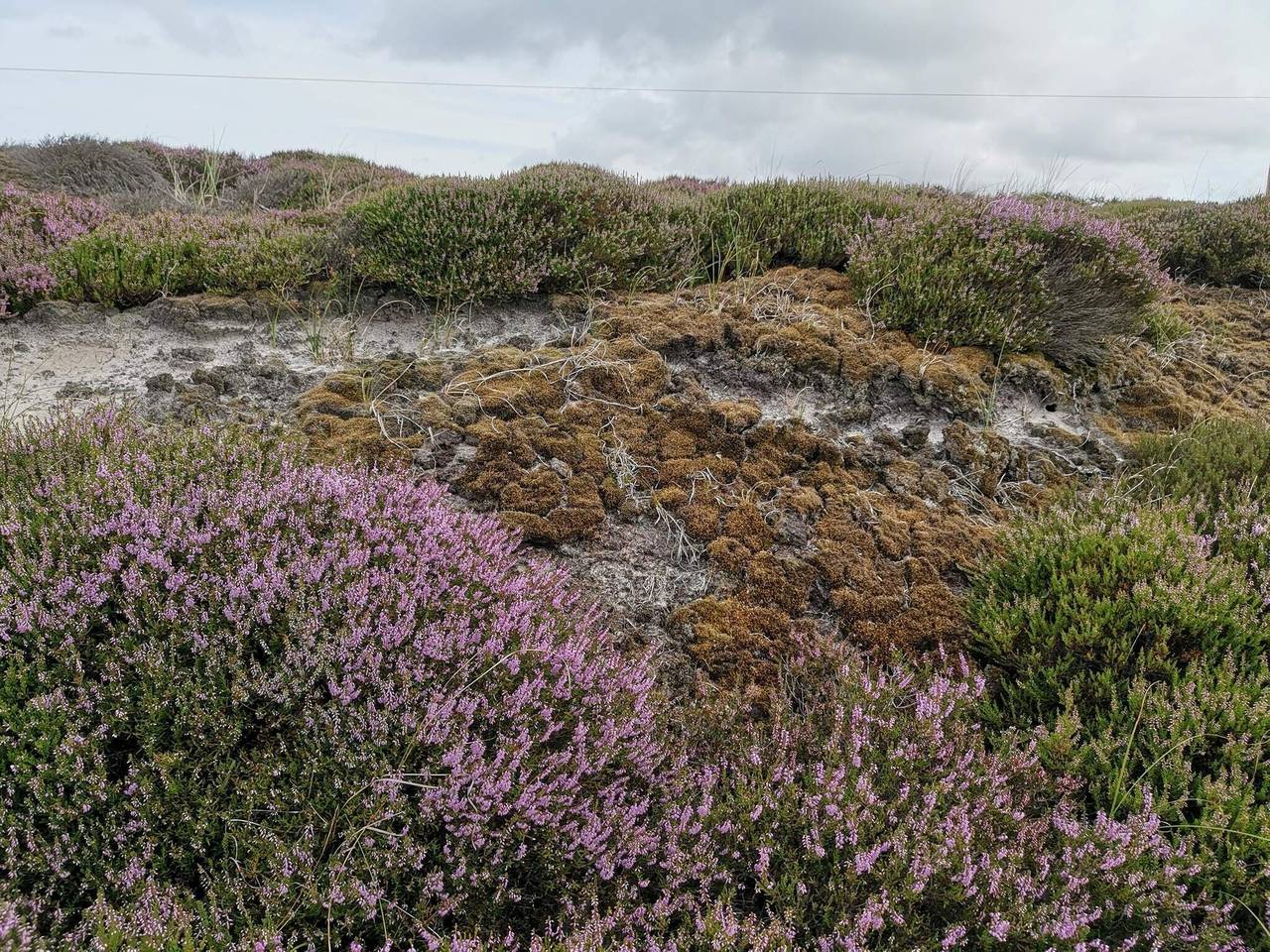 6 Personen Ferienhaus in Nørre Nebel in Nørre Nebel, Varde
