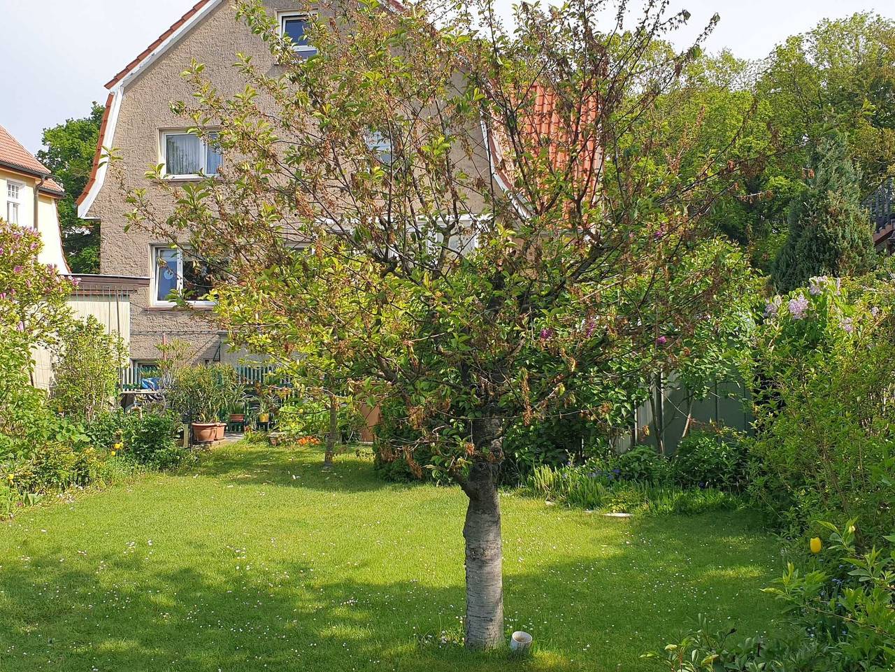 Ganze Ferienwohnung, Ferienwohnung mit Garten in Warnemünde Strand, Warnemünde