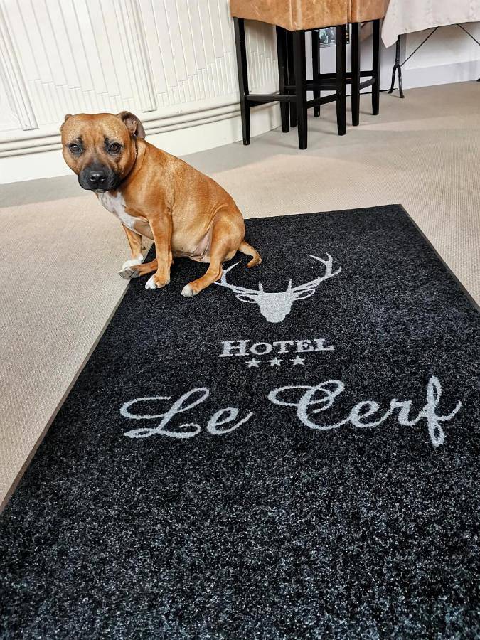 Logis Hotel Le Cerf in Briare, Région de Montargis