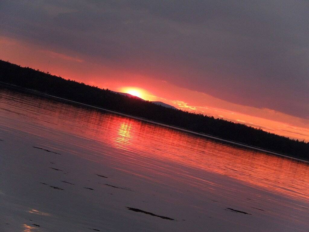 Kommen Sie, entspannen und genießen Sie wahre Ruhe und Schönheit. in Washington County (Maine)