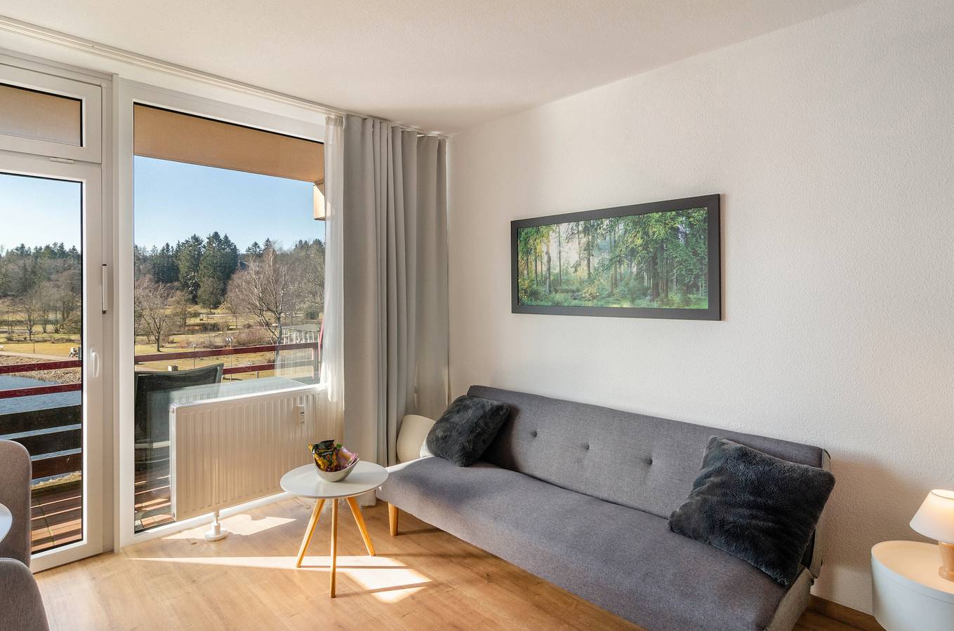 Entire apartment, Apartment 'Seeblickappartement Eure Zeit' with Lake View, Balcony and Wi-Fi in Hahnenklee, Goslar