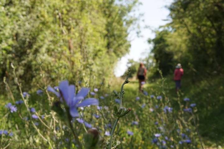 Camping pour 5 personnes, avec jardin et terrasse, animaux acceptés