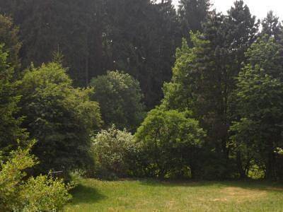 Holiday home in Kuhklingen with large terrace in Wald-Michelbach, Bergstrasse