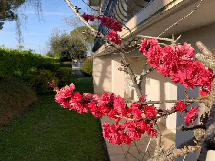 Location de vacances pour 7 personnes, avec jardin et terrasse à Saint-Georges-de-Didonne - 2