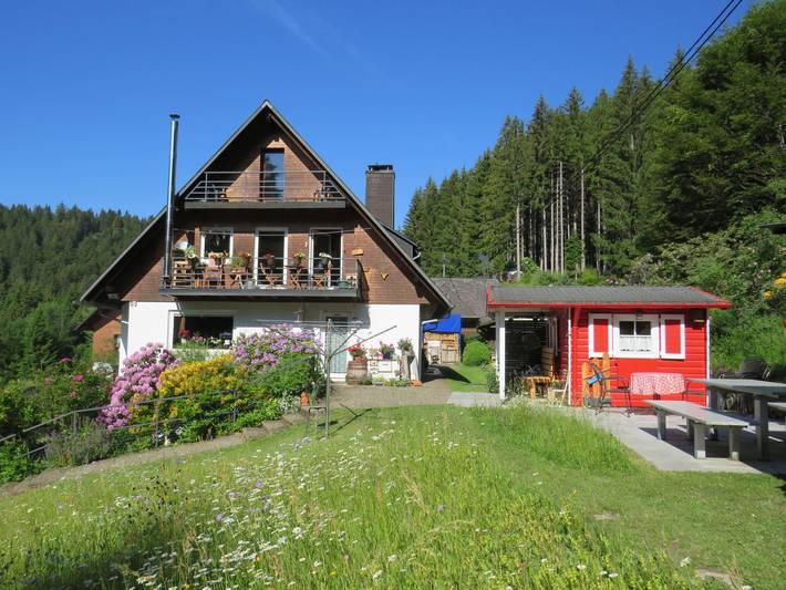 Gîte pour 4 personnes, avec jardin à Hinterzarten - 4