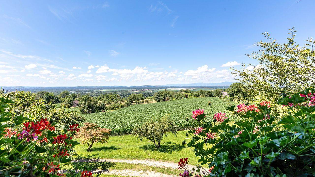 Ganze Ferienwohnung, Ferienwohnung für 2 Personen (52 m²) in Bad Bellingen in Bad Bellingen, Südschwarzwald