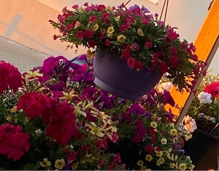 Ferienwohnung für 3 Personen, mit Terrasse in Seeg - 3