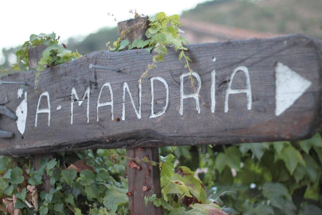 A Mandria, appartements avec cuisine 30m2, patio, vue Montagnes et citadelle, 5 minutes à pied du centre ville et des rivières in Corte, Parc naturel régional de Corse