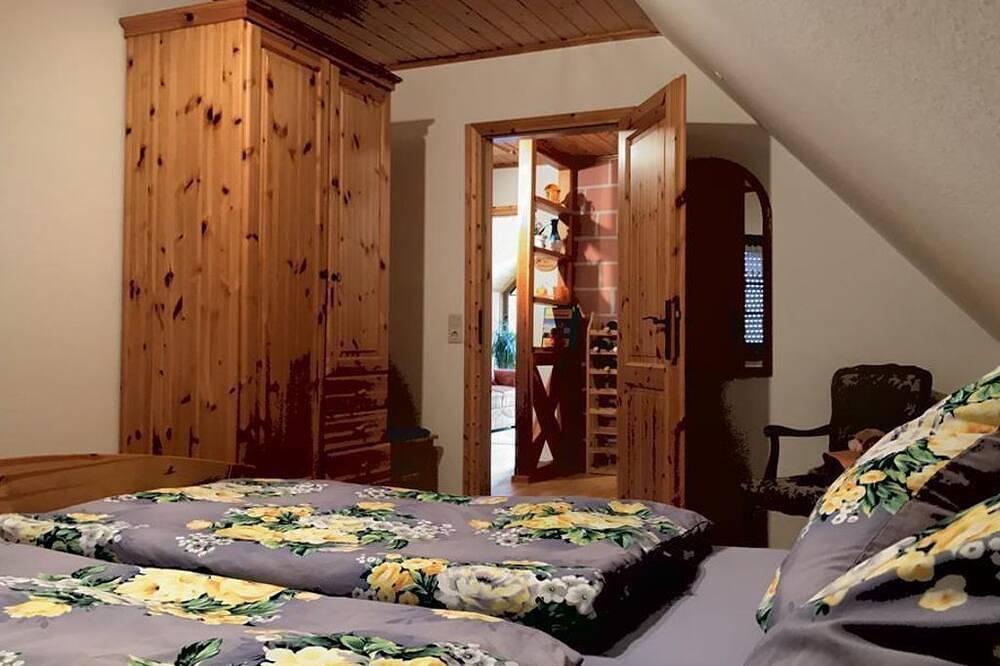 Ganze Wohnung, Haus Doris (Blick zur Burg) - Appartement/Fewo, Dusche, Wc, Balkon in Erlenbach bei Dahn, Landkreis Südwestpfalz
