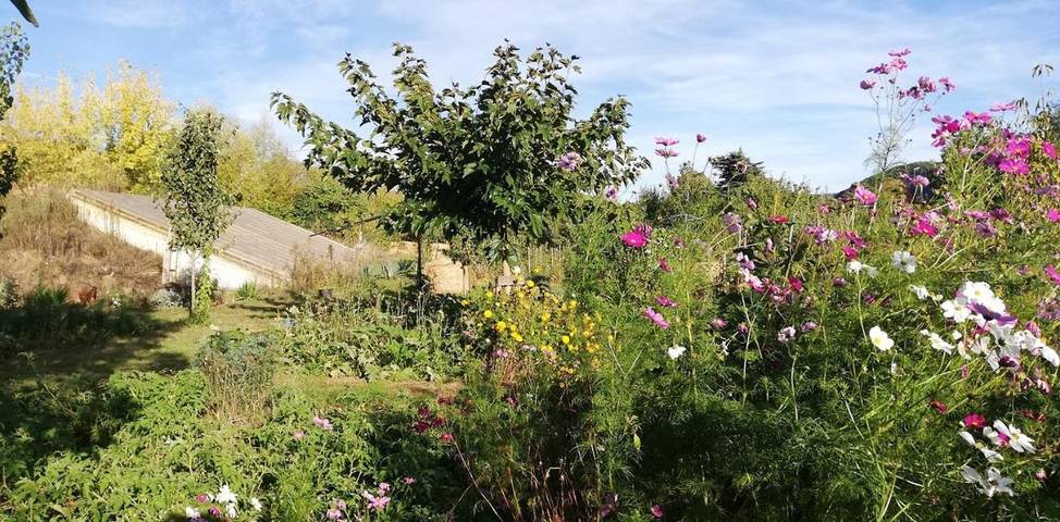 Maison d’hôte pour 3 personnes, avec jardin à Tour-de-Faure - 4
