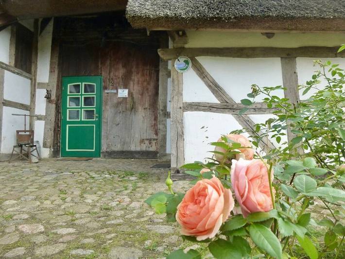 Gemütliche Reetdachkate in Klocksdorf, Carlow
