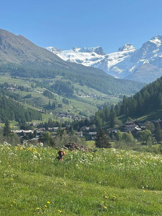 Appartement entier, Attico a Champoluc a 3 minuti dagli impianti con vista Monte Rosa in Champoluc, Ayas