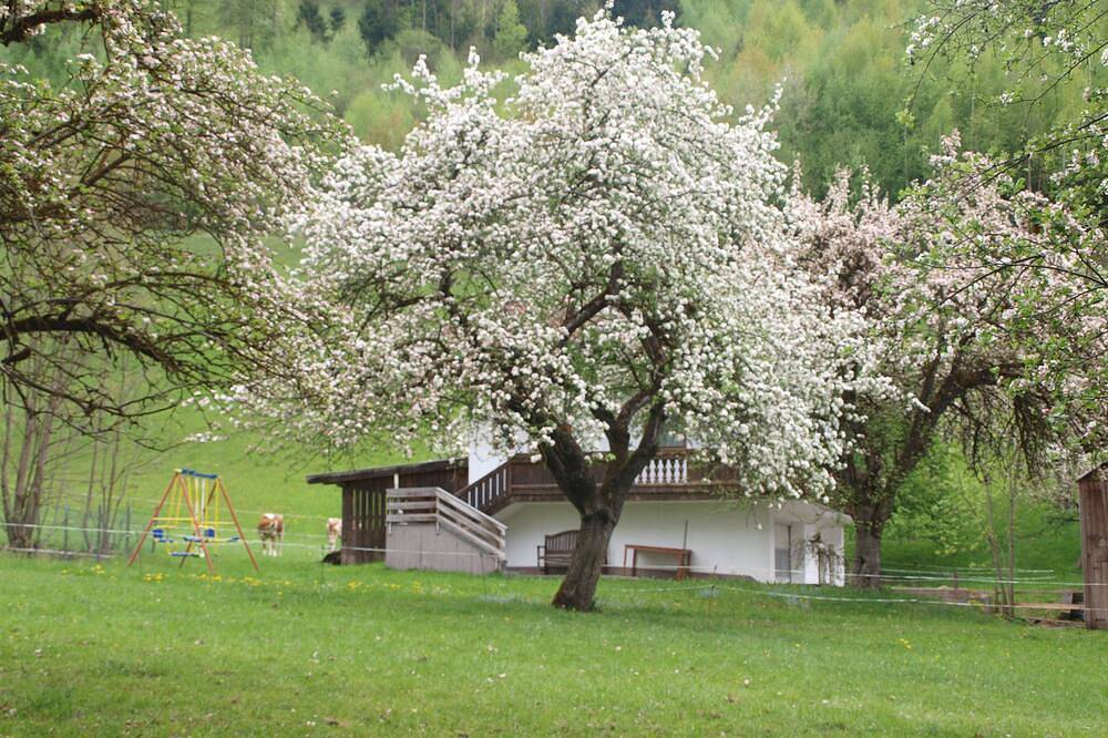Perfect  Hideaway House of Nature  - luxury  Chalet in a very idylic area in Hart im Zillertal, Ski-Optimal Hochzillertal