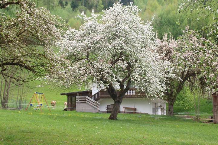 Vakantiewoning voor 7 personen, met balkon en tuin in Hart im Zillertal