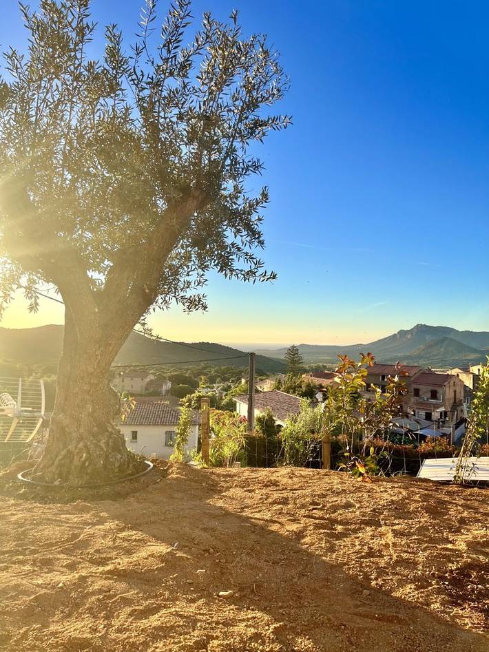 Location de vacances pour 2 personnes, avec Jardin dans Haute-Corse