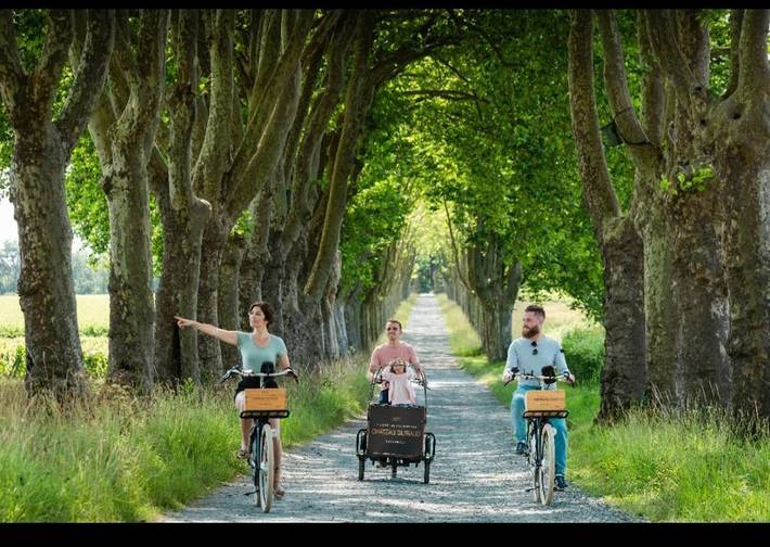 Location de vacances pour 3 personnes, avec terrasse ainsi que vue et piscine, animaux acceptés à Saint-Médard-d'Eyrans - 3