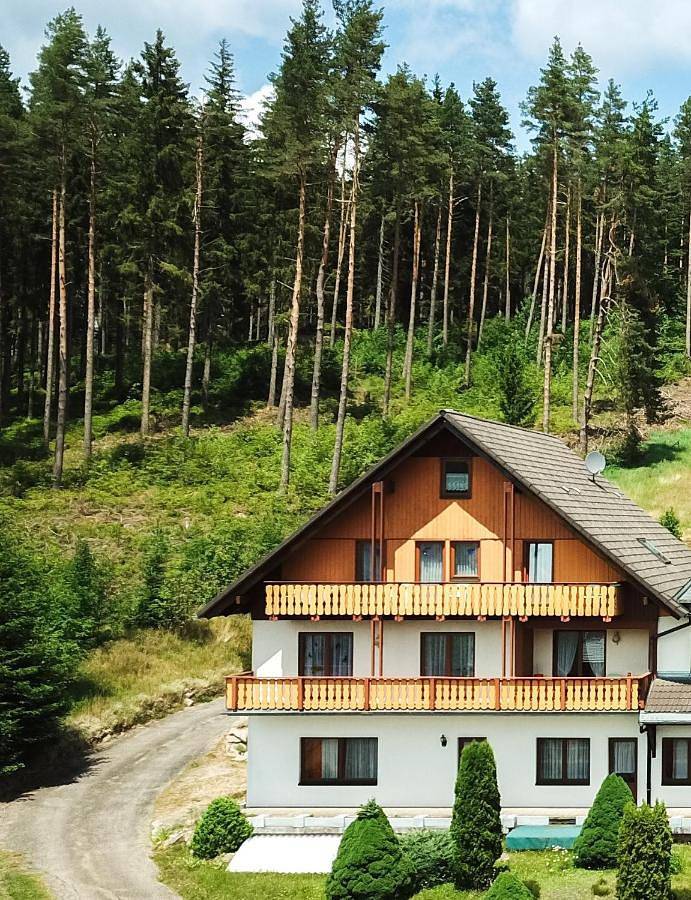 Ferienhaus für 14 Personen, mit Terrasse und Sauna sowie Garten und Ausblick, mit Haustier in Eisenbach - 2