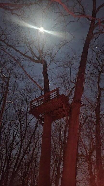 Shenandoah Shores Waterfront Log Cabin in Page County