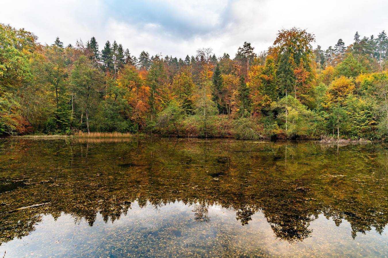 Europarcs Wörthersee — Trekkershut 2, foto 10