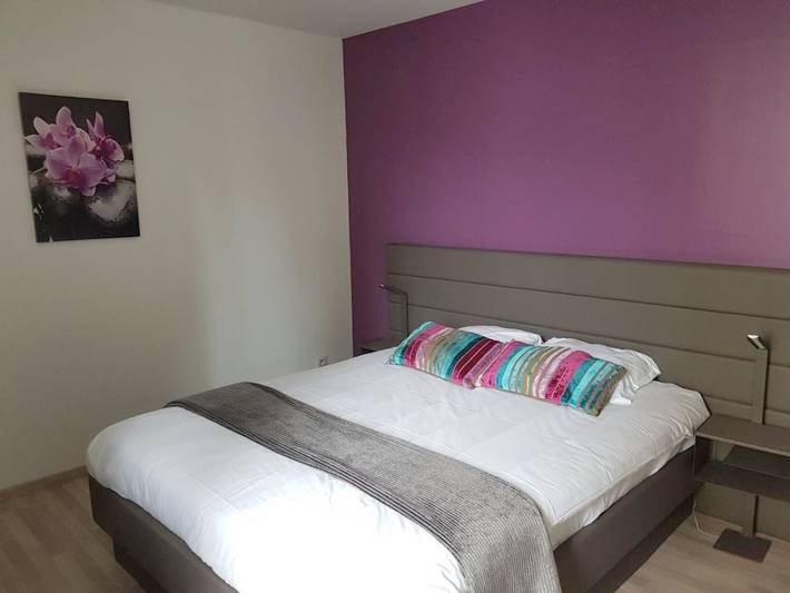Hôtel pour 2 personnes, avec vue ainsi que terrasse et jardin, animaux acceptés à Olivet - 4