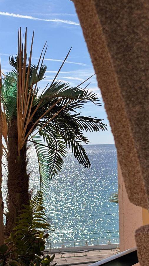 Gîte pour 4 personnes, avec jardin et piscine dans Office De Tourisme Cannes La Bocca - 2