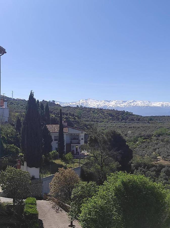 Casa de vacaciones para 12 personas, con piscina además de jardín y vistas, Se admiten mascotas en Vega de Granada - 4