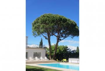 Maison De Vacances pour 14 Personnes dans Antibes, Région de Cannes, Photo 4